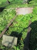 image of grave number 631793